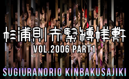 2006年の緊縛写真集1