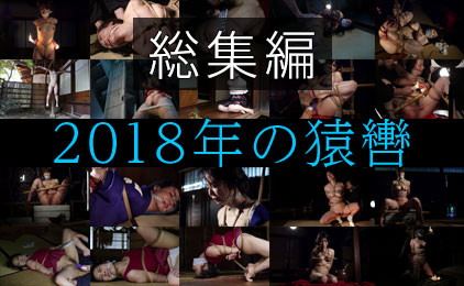 2018年の猿轡